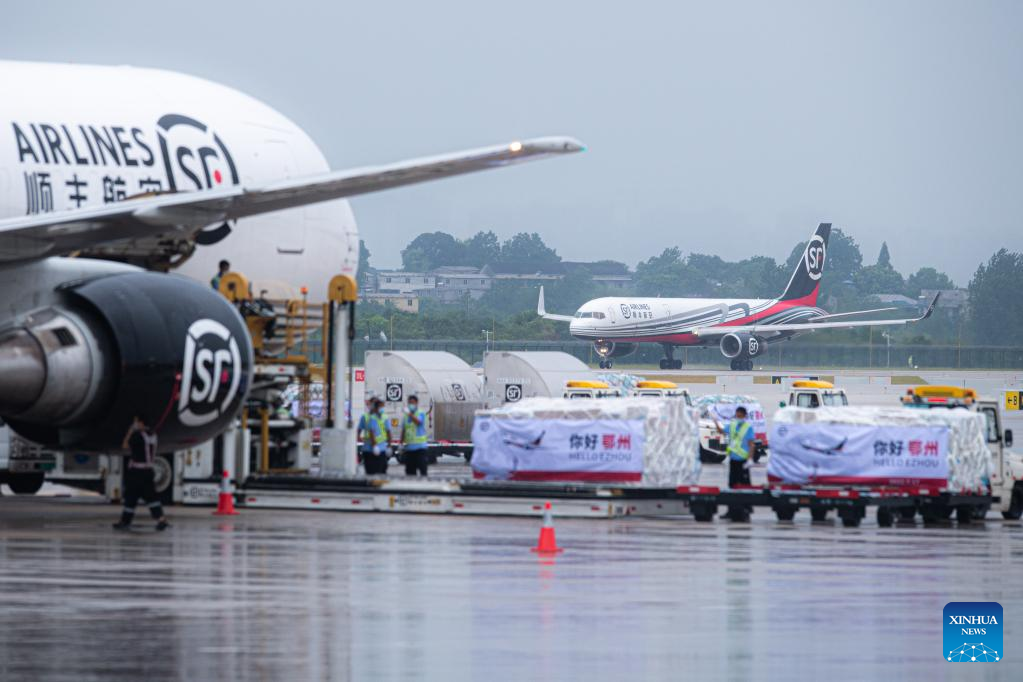 China Focus: Asia's first professional cargo hub airport put into operation in central China