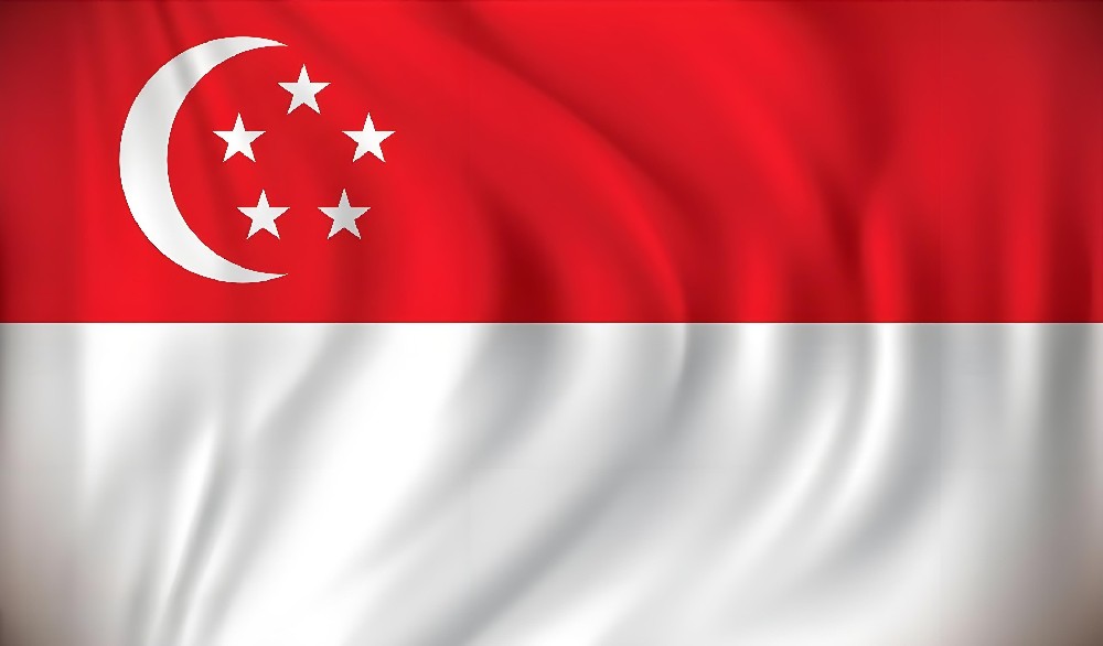 河南省fedex - 新加坡Singapore - 淡滨尼