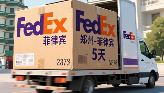 郑州 - 菲律宾（5天）fedex单号：7829****8103