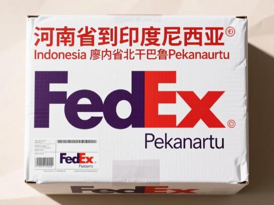河南省fedex - 印度尼西亚Indonesia - 廖内省 Riau - 北干巴鲁 Pekanbaru